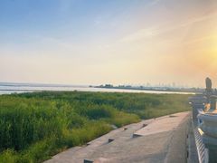 -合肥滨湖国家森林公园