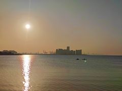 -万绿园