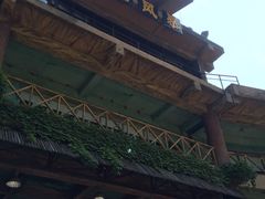 -热带风暴水上乐园(新镇路)