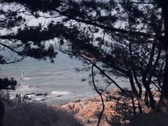-养马岛旅游度假区