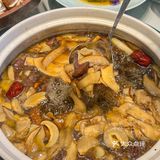名善珍品🍄 成都独家全菌系列汤锅被我找到‼️