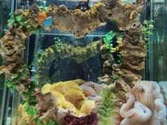 -太平洋海底世界