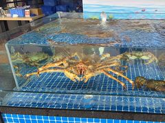 -红月湾海鲜饭店•沙滩海景(双月湾店)