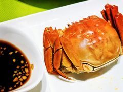 -阳澄湖半岛旅游度假区