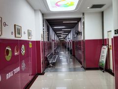 -陕西省小天鹅艺术团