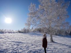 -塞罕坝国家级自然保护区