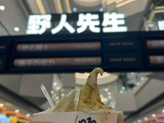 -野人先生Gelato(上海长宁龙之梦店)