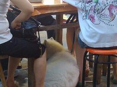 -松盛糕团店(红旗桥店)