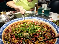 -新概念来凤鱼(璧山店)