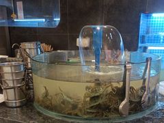 -星伦多自助料理·涮烤一体(奉贤龙湖天街店)