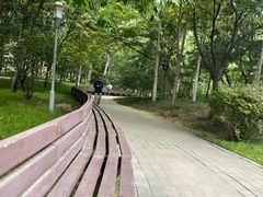 -北极寺公园