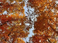 -白鹭湾湿地公园