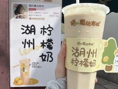 柠檬奶-猫的魔法密林(衣裳街店)