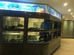 -紫光园(顺义店)