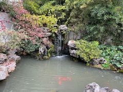 -上海醉白池公园