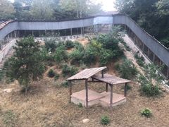 -石家庄市动物园