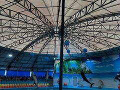 -尼莫海豚馆