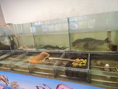 -百花食府(渔阳南路店)