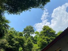 -凤栖山