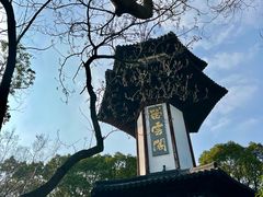 -上海佘山国家森林公园天马山园