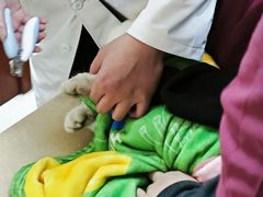 -艾贝尔宠物医院 ·内科全科(梁溪路店)