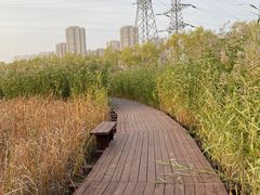 -永定河休闲森林公园