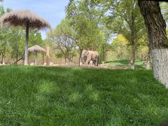 -北京野生动物园