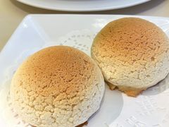 雪顶雄峰-利苑酒家(金宝店)
