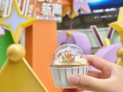-VT101维多利广场