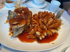 松鼠桂鱼-洋洋中餐馆·SINCE 1997(信投店)