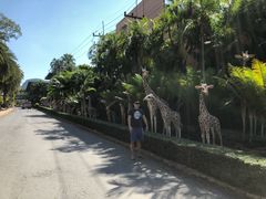 -东芭乐园