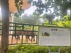 -秦皇岛野生动物园