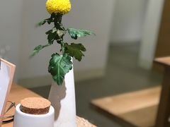 -团子君寿司·茶