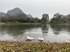 -Club Med地中海俱乐部·桂林度假村