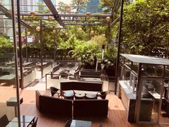 -深圳温德姆至尊酒店·大堂吧·户外花园
