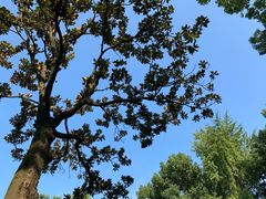 -上海孙中山故居纪念馆