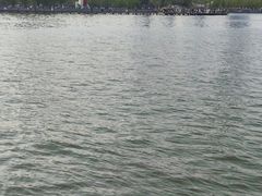 -金鸡湖景区