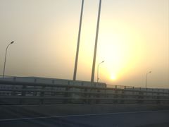 -销魂美蛙鱼头火锅(上海首店)