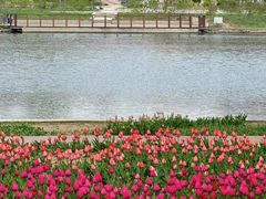 -石家庄市植物园