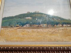 -上海佘山国家森林公园西佘山园