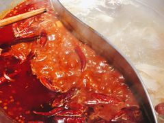 -大龙燚火锅(南山大道店)
