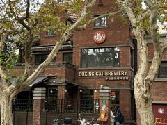 -Boxing Cat Brewery拳击猫精酿啤酒馆(永福店)