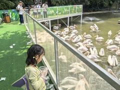 -广州长隆飞鸟乐园