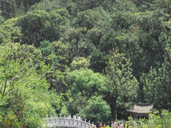 -黑龙潭公园