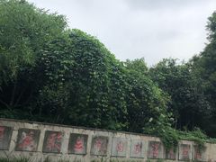 -重庆彩云湖湿地公园