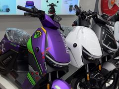 -九号电动车(安定门内大街店)