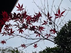 -峨眉山报国寺