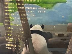 -柳州市动物园