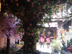 -胖子菜馆(花园餐厅店)