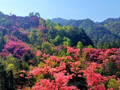 -岳西天峡风景区